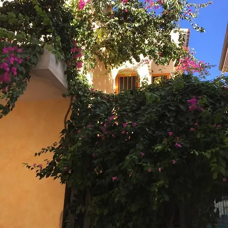 Casa Arborea אורוסיי