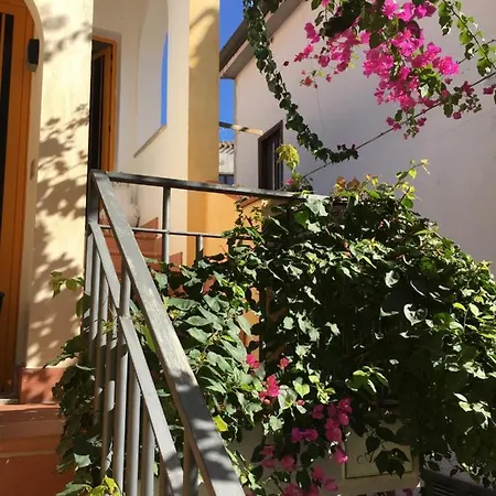 Casa Arborea אורוסיי