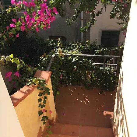 Casa Arborea דירה *